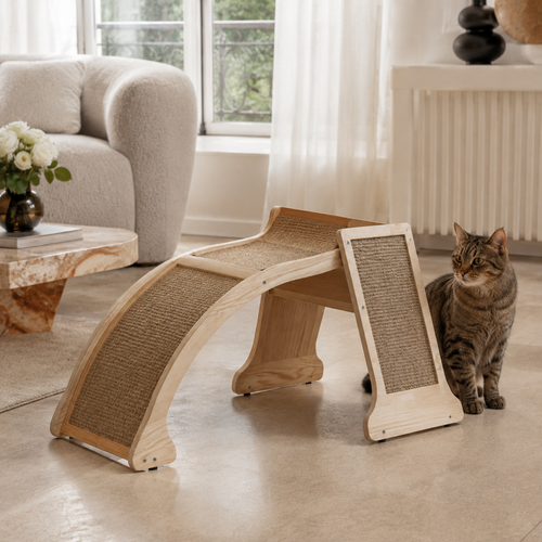 CloudArch Cat Lounge